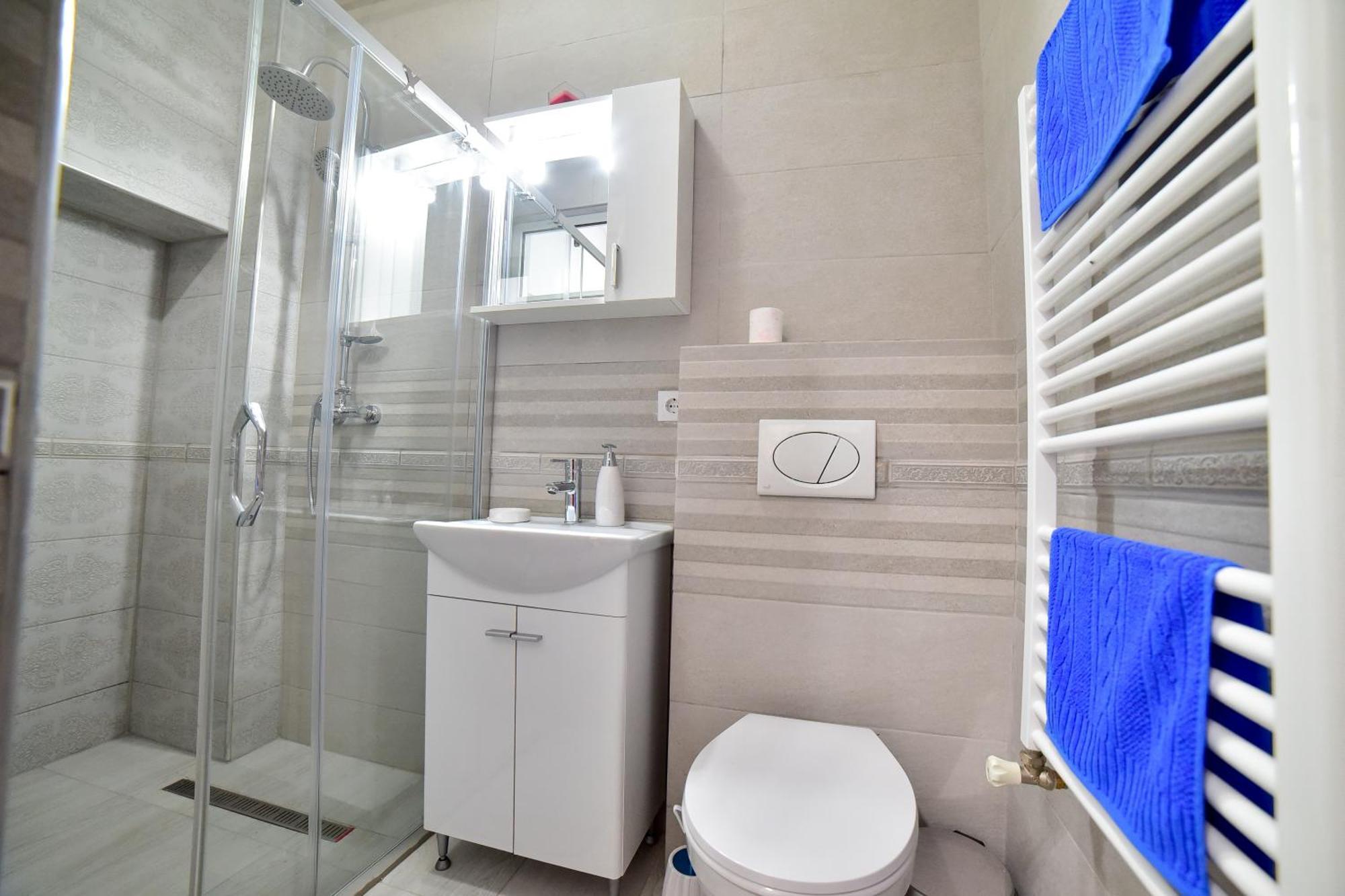 White House & Jacuzzi 公寓 Sibiu